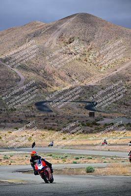 media/Apr-26-2025-2WTD (Sat) [[797c348bd3]]/C Group/140pm/